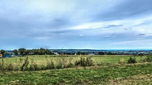 Kopfbild Seite - Anfahrt